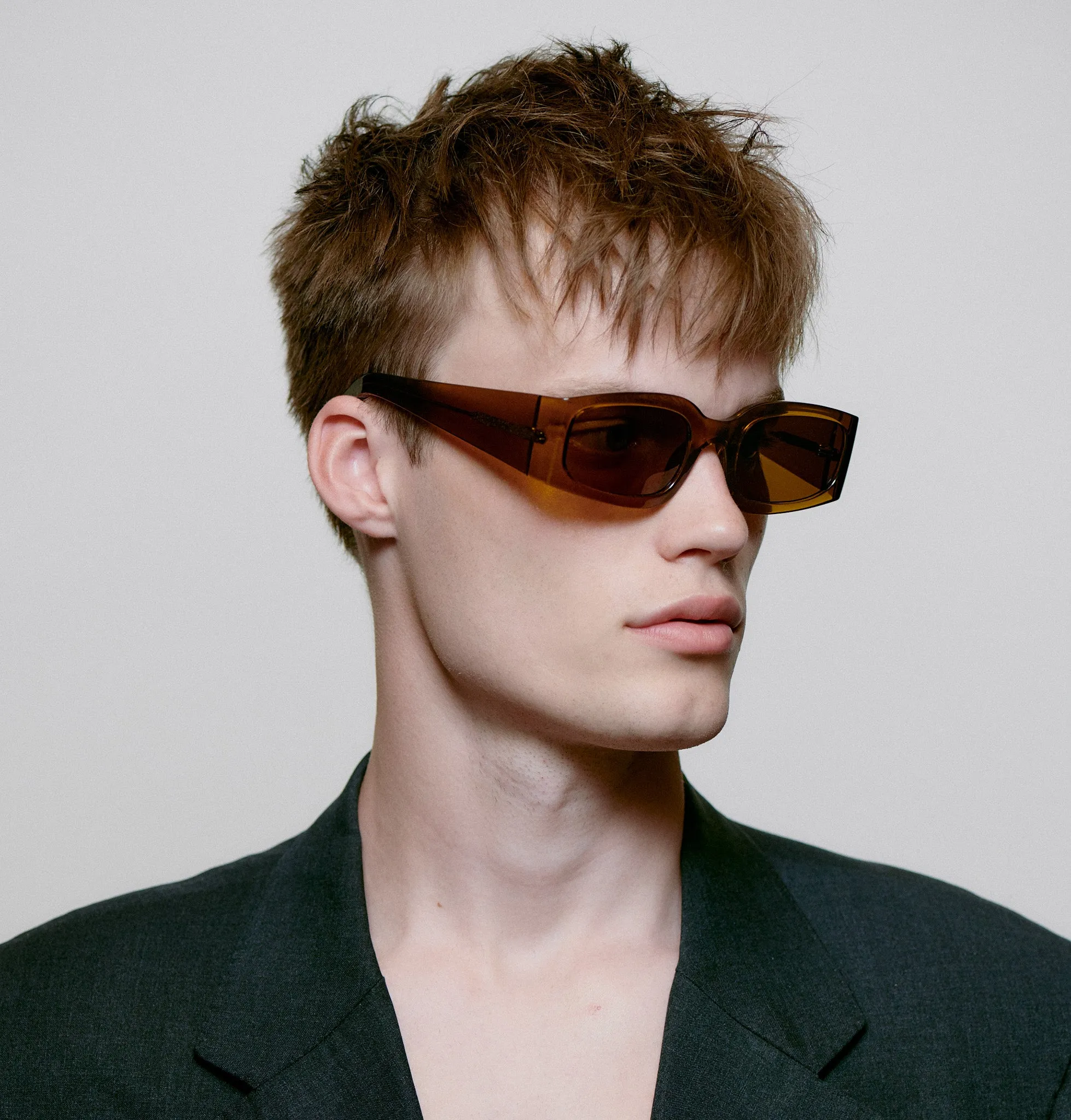 Alex Sunglasses - Smoke Transparent