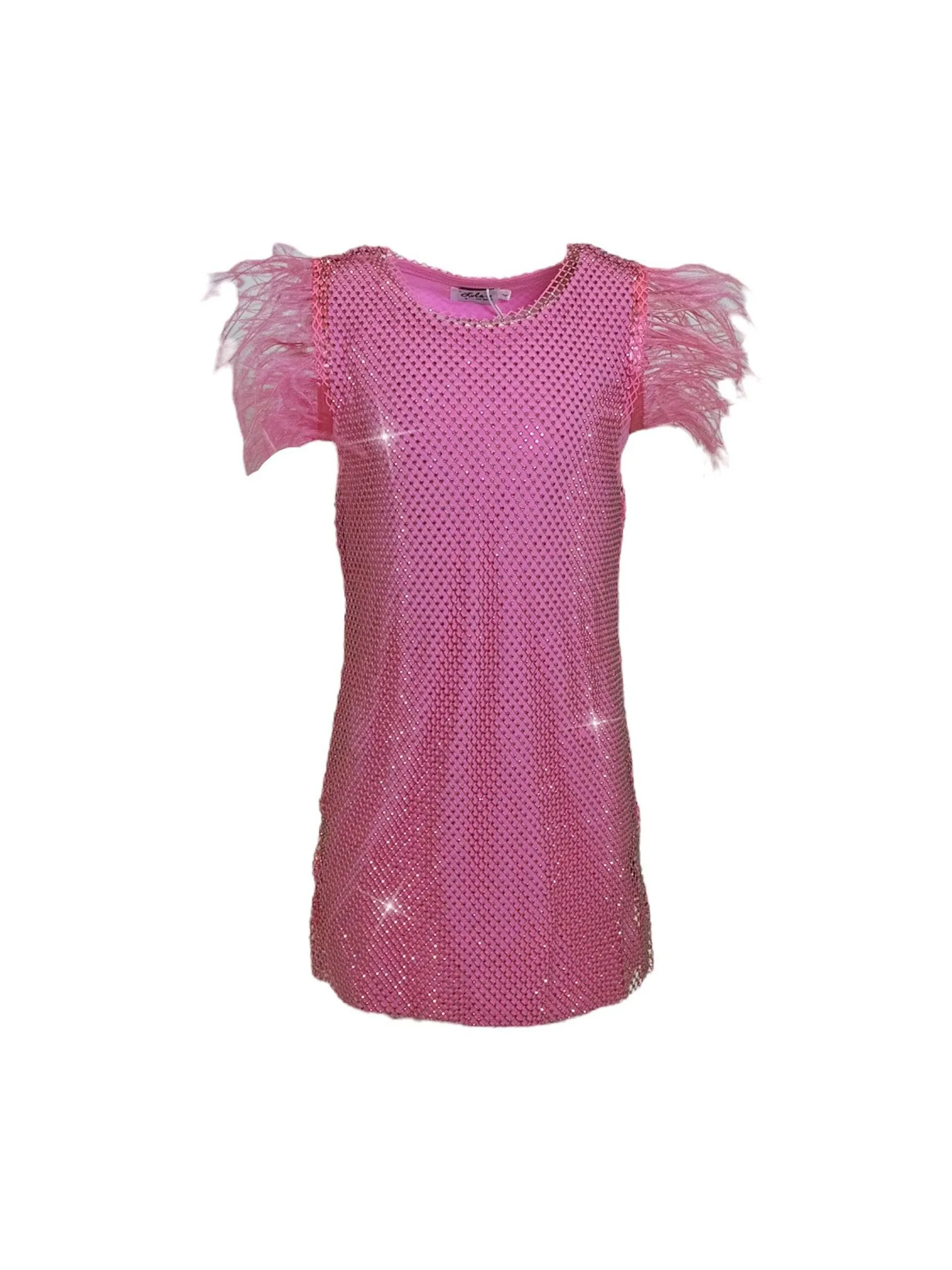 Crystal Shimmer Feather Dress