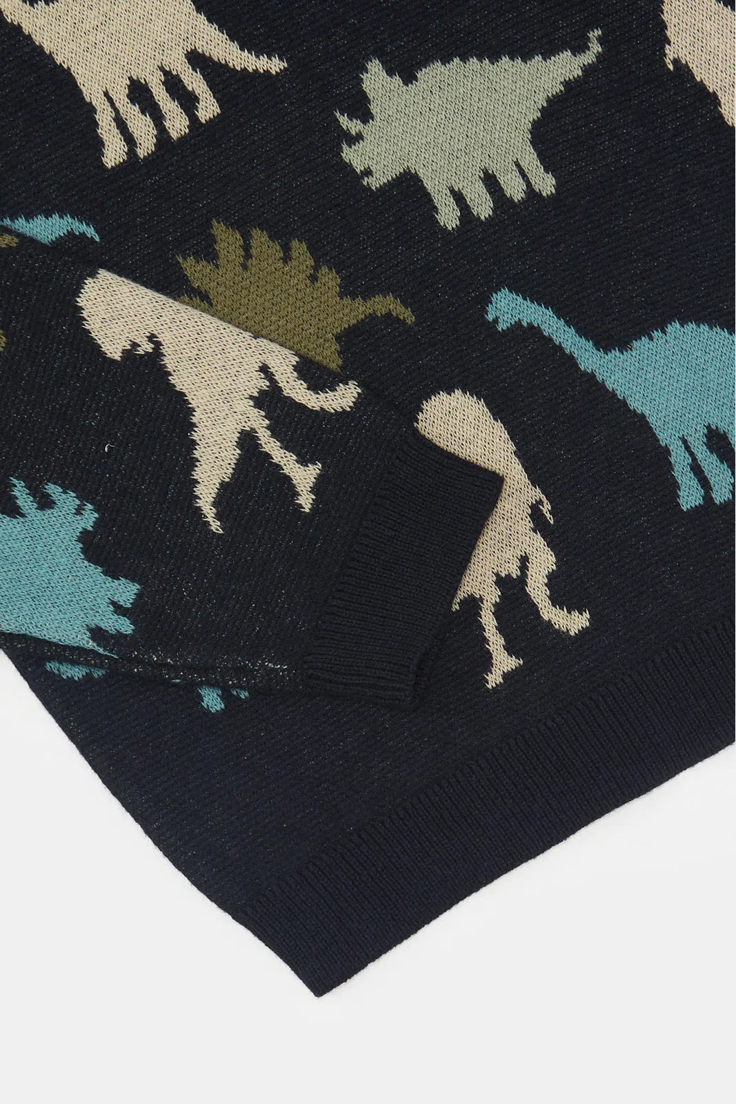 Infant Boys Black Dino Printed Pullover