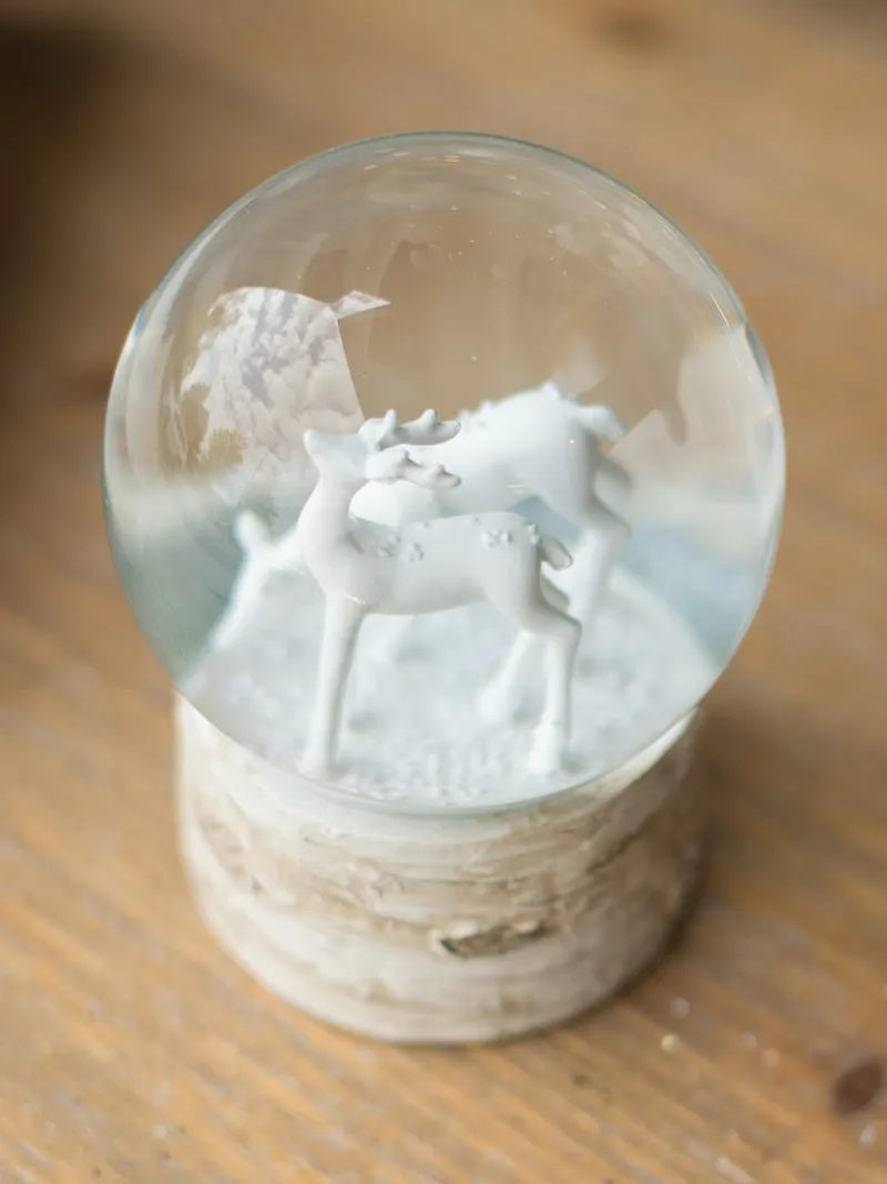 Snow Globe on Birch with Reindeer